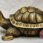 Черепаха по фен шуй - значение и талисман