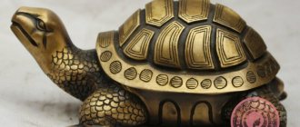 Feng Shui turtle - meaning and talisman