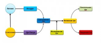 What is Qi energy - photo 2