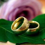 rings on a leaf