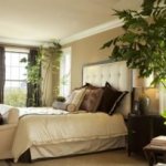 Indoor plants in the bedroom