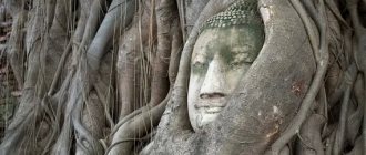 Symbolism of Buddhism and images of Buddha
