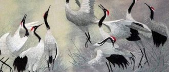 flock of cranes