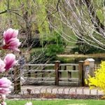 We arrange a garden in accordance with the rules of Feng Shui: a detailed analysis of each zone