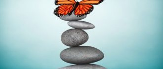 The meaning of butterflies according to feng shui